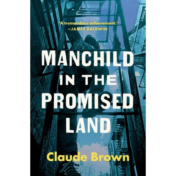 Manchild in the Promised Land, (Paperback)