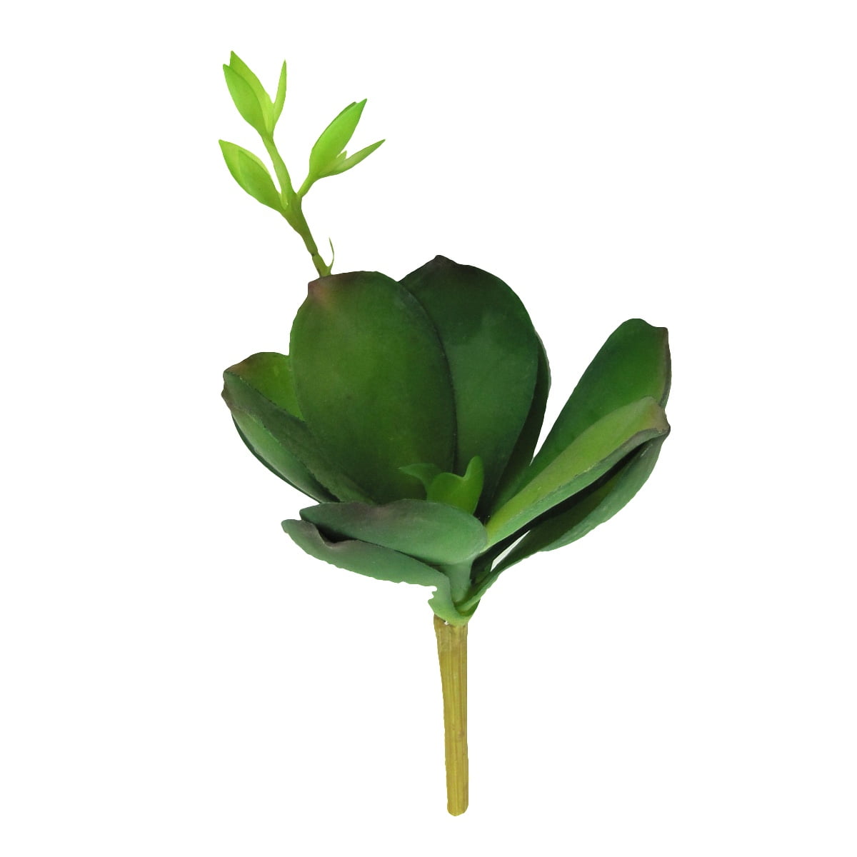 Artificial Lotus Flower Succulent Grass Desert Plant Arrangement Decor Green