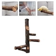thumbnail image 4 of Percha de Pájaro Soporte de Natural Juguete de Molienda Juguetes de Escalada de piezaza Accesorios de Jaula para Loros Y Medianos, Sunnimix Párrano Pájaro Pájaro, 4 of 8