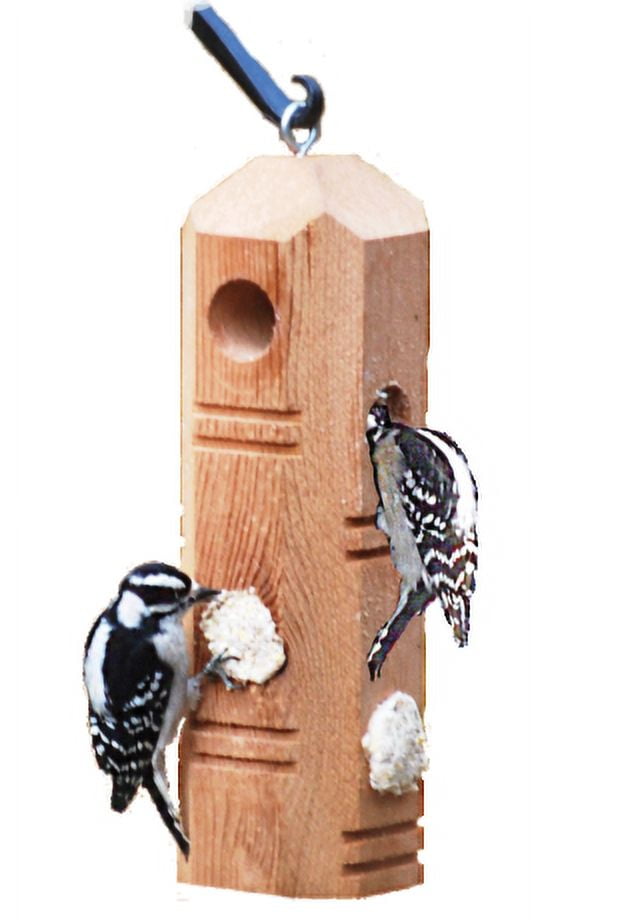 Wildlife Sciences Sunflower Suet Plugs 12 oz | Case of 12