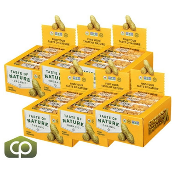 Taste of Nature Organic Peanut Snack Bars - 16 Bars x 40g, Certified Organic (6/Case)