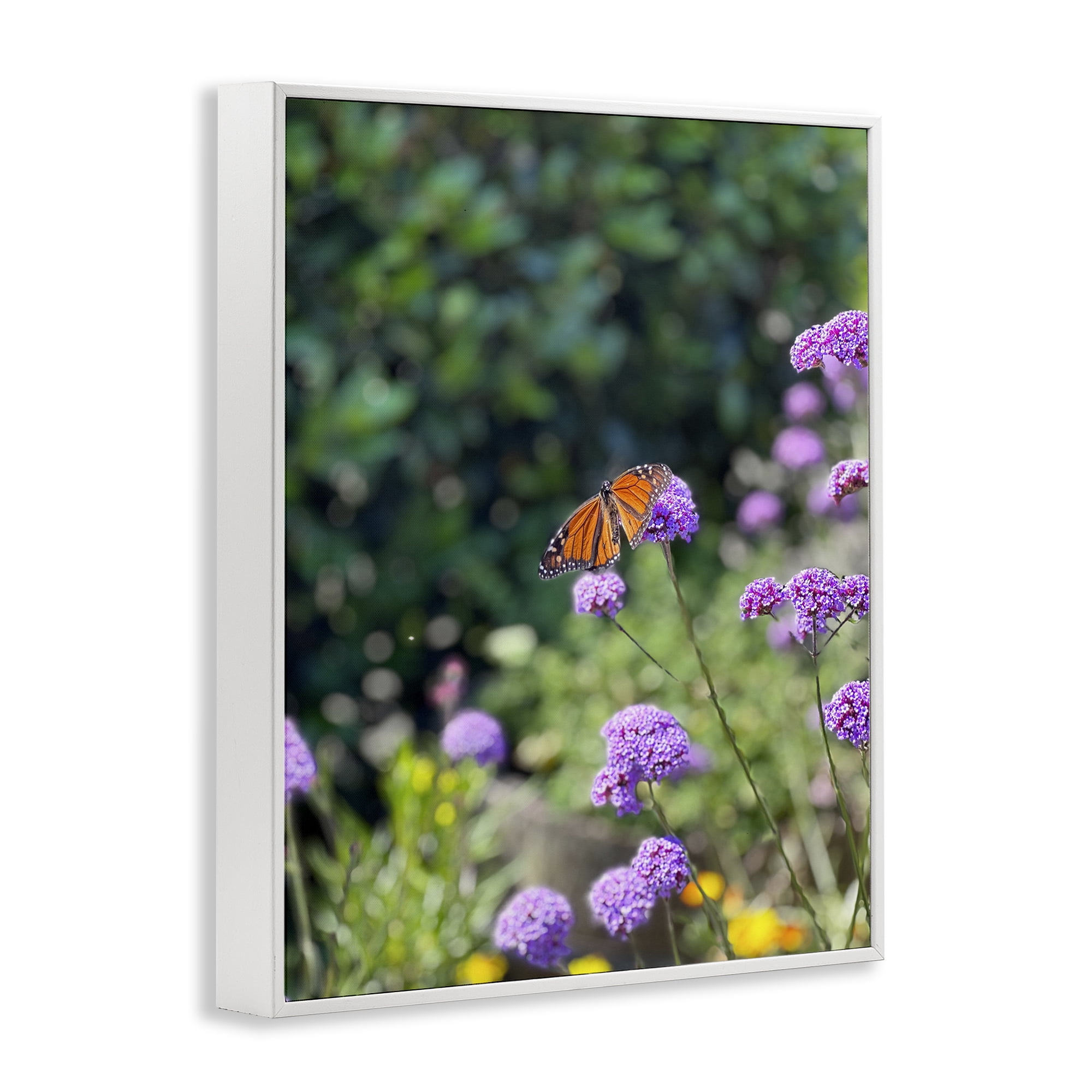 Stupell Industries Butterfly in Meadow Animals & Insects Photography White Framed Art Print Wall Art, 16 x 20