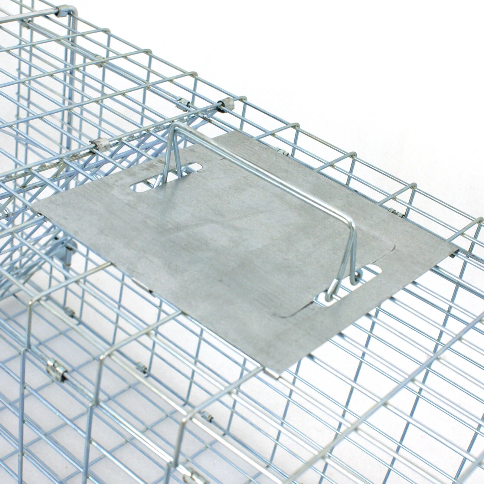 HomGarden 32inch Humane Live Animal Trap Cage, Steel Catch Bait Small Animal Indoor Outdoor