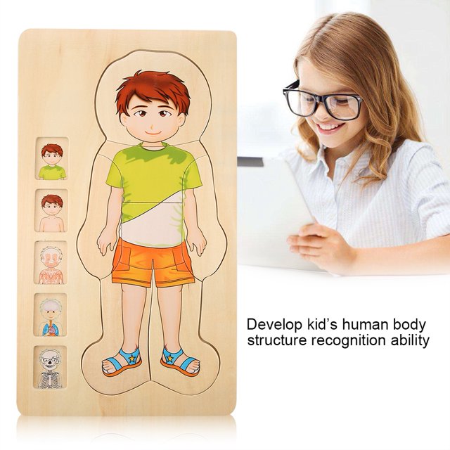 Human Body Structure Brick Toy, Durable Multilayer Brick Toy, Early Educational Intelligent Brick Toy For Boys Girls