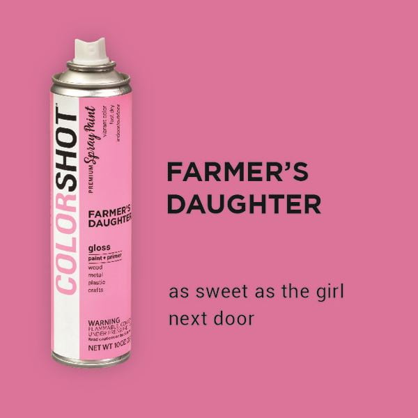 (2 pack) COLORSHOT Premium Multi-Surface Gloss Farmers Daughter Spray Paint - 10 oz - Pink