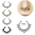 thumbnail image 3 of Briana Williams 16g/20g Surgical Steel Fake Nose Rings Set, Septum, 16PCS, 3 of 4