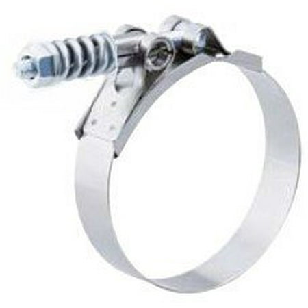 

Spring-Loaded T-Bolt Clamp-StdDtySmSprngMinDia 2-3/4 MaxDia 3-1/16 - (Pack of 1)