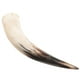 thumbnail image 1 of WORGEOUS Hogar retro Bull Horn Inserted Vase amarillo Bull Horn Pornón Mundial Cuerno de adorno colgante de unos 40-48 cm, 1 of 9