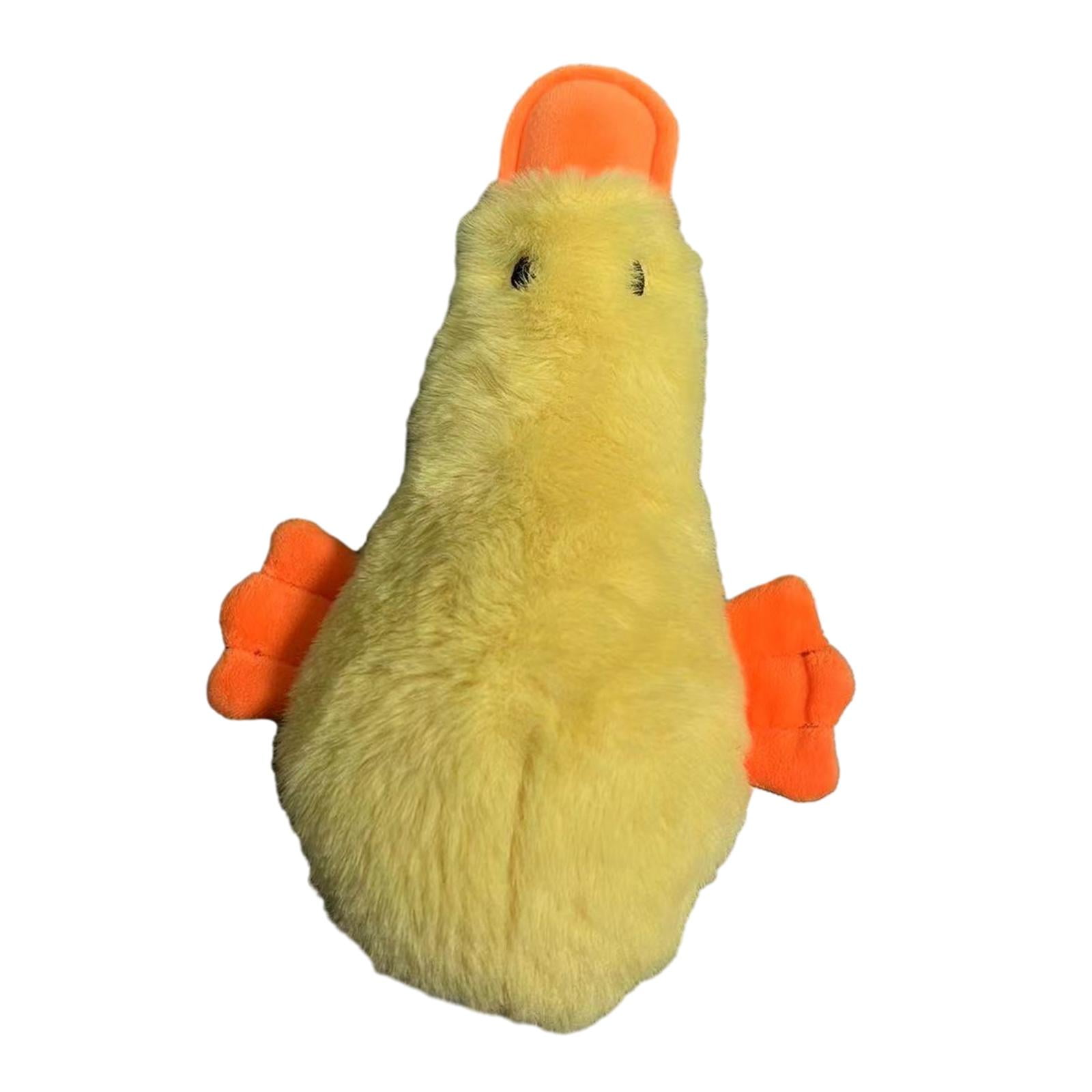 Dog squeaky toy 2025