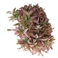 thumbnail image 4 of PENGXIANG Artificial Plant Bouquet Simulation Decoration Home Office Plastic Fake Leaves  Autumn Color, 4 of 8