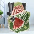 thumbnail image 4 of Vintage Soft Flannel Fleece Throw Blanket, Retro Old Fashioned Funny Watermelon Faded Colors Classic Graphic Art, Cozy Plush for Indoor and Outdoor Use, 60" x 80", Green Red Ecru, by Ambesonne, 4 of 5