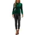 thumbnail image 2 of INSPIRE CHIC Women's Retro Velvet Tie Neck Long Sleeve Casual Work Blouse Top L Dark Green, 2 of 6