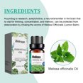 thumbnail image 4 of 2pcs Melissa Officinalis Essential Oil, Moisturizing Massage Skin Body Care Improve Memory Melissa Officinalis Essence, 4 of 5