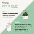 thumbnail image 4 of Teapigs Peppermint Leaves Tea Bags Made with Whole Leaves (1 Pack of 50 Tea Bags), 4 of 7