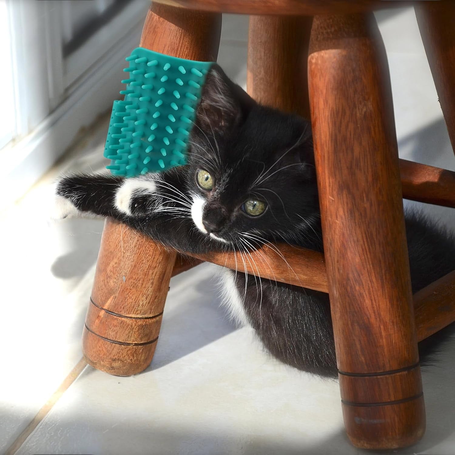 ABCISI 4 Pieces Adjustable Cat Self Groomer, TPR Cat Face Scratcher, Pet Self Grooming Corner Scratching Brush Tickling Comb for Long Short Hair Kitten Climbing Frames Table Legs (Mint Green)