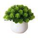 thumbnail image 2 of Adorno de Planta Verde Artificial, Mini Bonsái en Maceta para Sala de Estar, Oficina, Decoración de Escritorio, 15x13x13 cm, 2 of 6