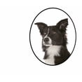 thumbnail image 3 of CafePress - Border Collie Dad T Shirt - Men's Classic Cotton T-Shirts, 3 of 3