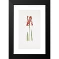 thumbnail image 2 of William Rickatson Dykes 10x14 Black Modern Framed Museum Art Print Titled - Iris Stolonifera (1913), 2 of 5