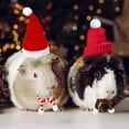 thumbnail image 2 of Dalrosia Small Animal Christmas Costume,Mini Santa Hat Scarf for Hamster Rabbit Guinea Pig Chinchilla Hedgehog Lizard Bearded Dragon Xmas Party Supply, 2 of 6