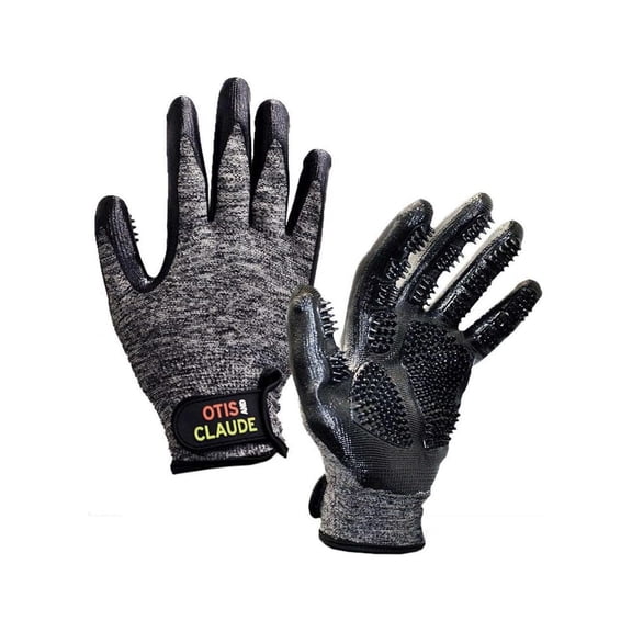 Otis and Claude Textured Pet Grooming Glove with 2 Grooming Gloves, Black, Pair