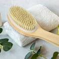 thumbnail image 6 of Unique Bargains Dry Brushing Body Brush Bristle Body Brush for Dry Skin Back Brush for Shower for Women, 6 of 7