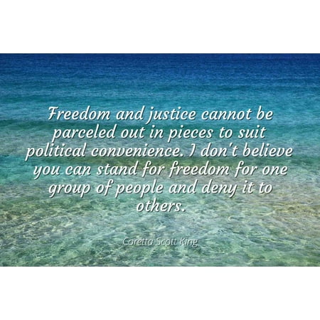 Airblaster Freedom Suit (Coretta Scott King - Famous Quotes Laminated POSTER PRINT 24x20 - Freedom and justice cannot be parceled out in pieces to suit political convenience. I don't believe you can stand)