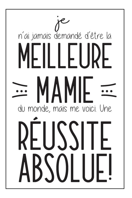 Je N Ai Jamais Demande D Etre La Meilleure Mamie Du Monde Mais Me Voici Une Reussite Absolue Carnet De Notes Cadeau Pour Sa Mamie Anniversaire Ou Noel Fete Des Grands Meres