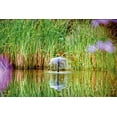 thumbnail image 2 of OASE Aquarius Fountain Set Eco 825, 2 of 4