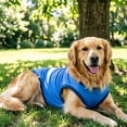 thumbnail image 4 of BotaniNest Vest For Summer Ice Pad Clothes Heat Breathable, 4 of 7