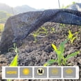 thumbnail image 2 of Bexikou Shade Cloth,55% Sunblock UV Protection,6.5 X 16.4 FT Black Sun Shade Cover,Sun Mesh Net for Garden Plant Cover, Flowers and Greenhouse, 2 of 6