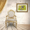thumbnail image 3 of Day, Richard and Susan 24x17 Gold Ornate Wood Framed with Double Matting Museum Art Print Titled - Ruby-throated hummingbird at black and blue salvia, 3 of 4