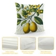 thumbnail image 4 of Lemon Throw Pillow Covers Summer Fruit Farmhouse Decorative Pillows Case Soft Velvet Cushion Covers for Couch Sofa Patio Garden Home Decor, 4 of 5