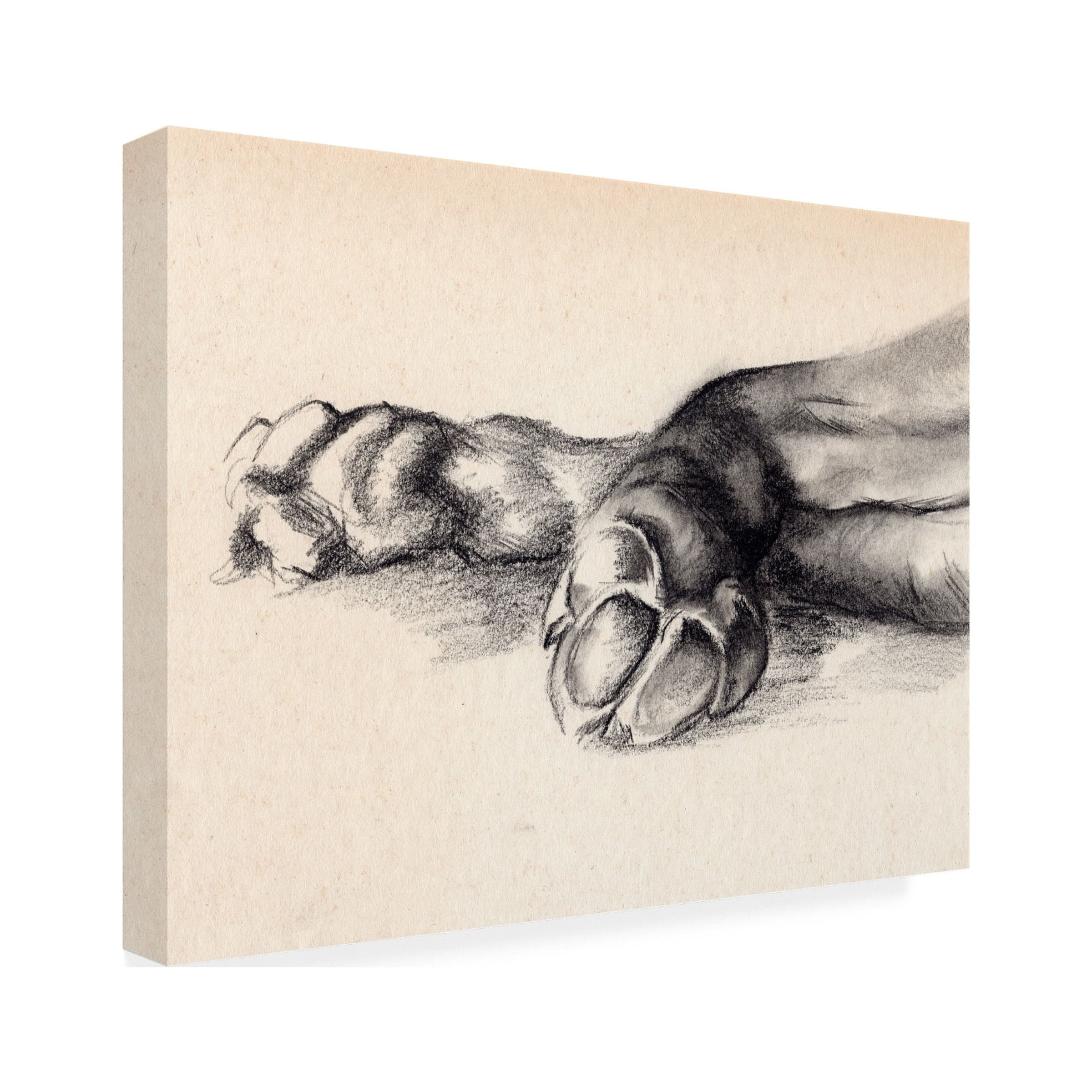 Jennifer Paxton Parker 'Charcoal Paws I' Canvas Art