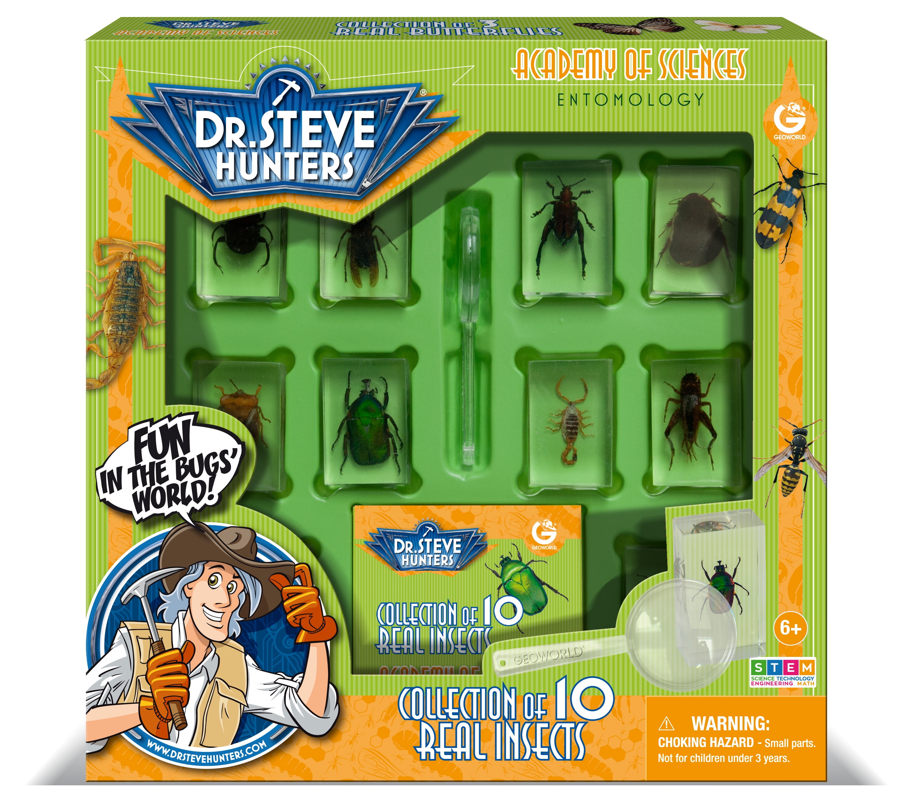 Constructive Playthings Geoworld Bugs World Collection Scientific Educational Toy 12 Real Insects 