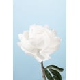 thumbnail image 2 of 1x Studio III 23x32 White Modern Wood Framed Museum Art Print Titled - Peony_1, 2 of 4