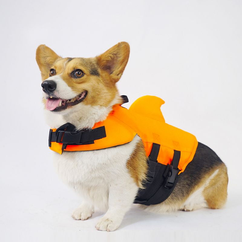 dog swimming jacket