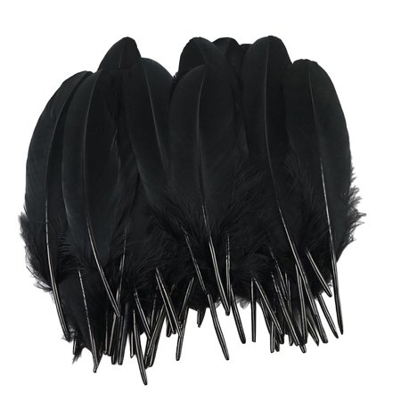 50 Pieces 5-8 Inches Beautiful Natural Coque Tail Feathers Trims