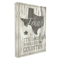 The Stupell Home Decor Collection Texas A Whole Other Country Stretched Canvas Wall Art