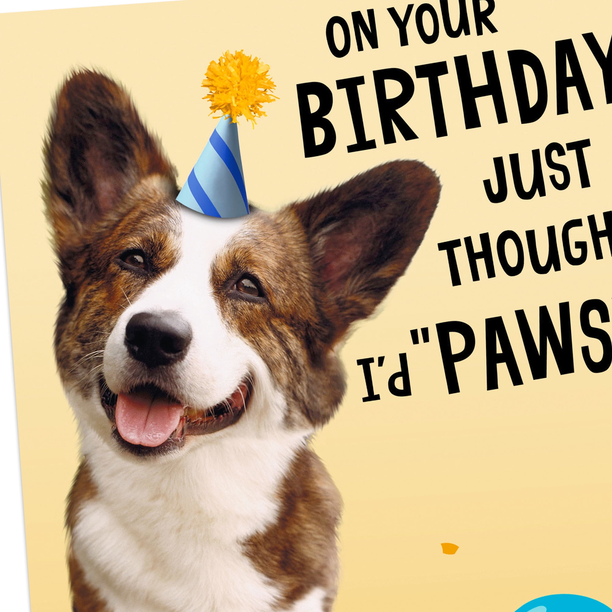 Hallmark Funny Birthday Card (Wishing You a Treat-Filled Celebration)