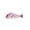 Color A, variant on Lifelike Fish Cosmetic Stationery Bag with Zipper Pen Store Organizer Pouch, 23 cm×8 cm, Color A