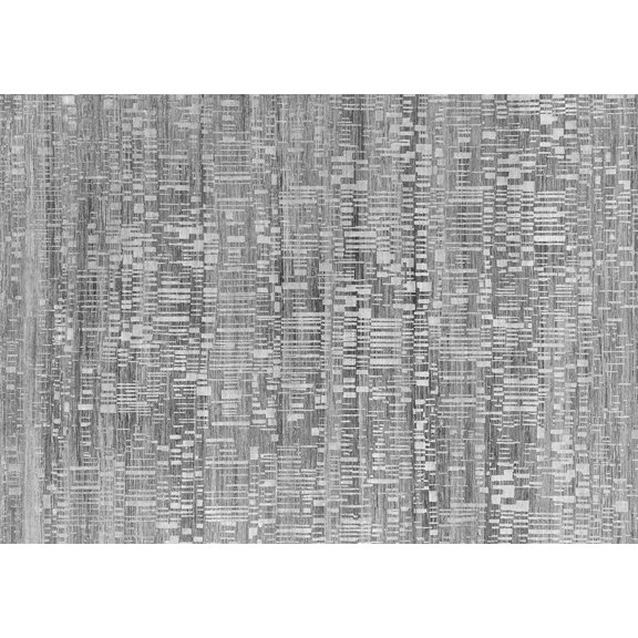 Ahgly Company Indoor Rectangle Oriental Gray Industrial Area Rugs, 2' x 4'