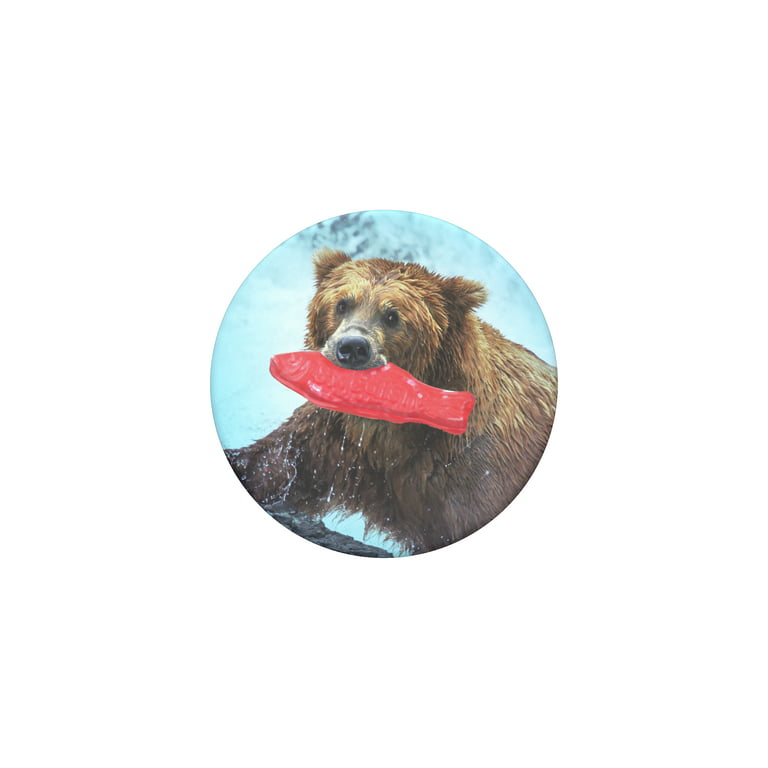 Just Really Like Salmon Fish Fishing Cooking Totem PopSockets Swappable  PopGrip