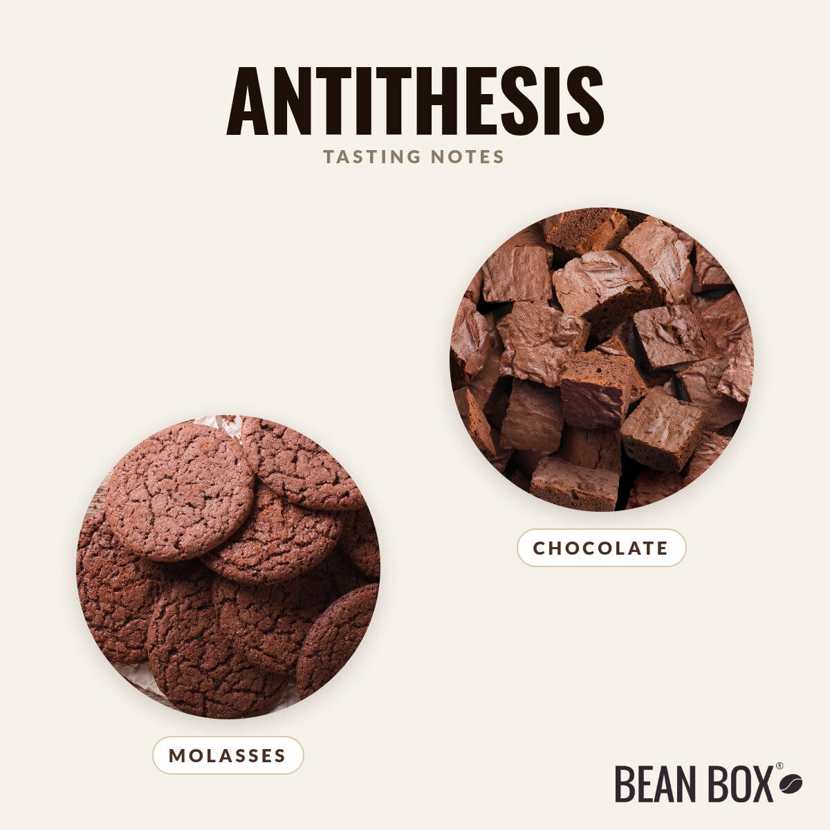 Antithesis - Roasted by Ceremony Coffee Roasters - Whole Bean Coffee - 12oz Bag