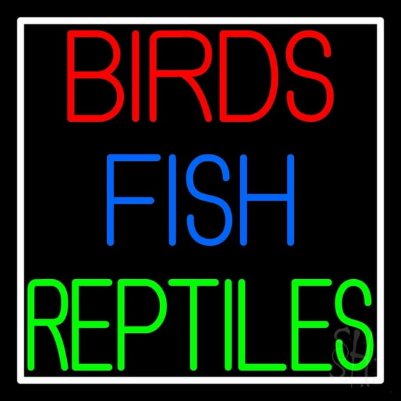 Birds Fish Reptiles LED Neon Sign 16" Tall x 16" Wide - inches Black Square Cut Acrylic Backing, with Dimmer - Premium built indoor Sign for Club, Home décor, Event, Workshop, Storefront.