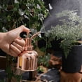 thumbnail image 3 of Regadera de acero inoxidable para jardinería, rociador para interiores, rociador atomizador vintage, mini rociador negro para el hogar, 3 of 4