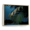 thumbnail image 2 of Designart "Solitude Under The Sapphire Palm Tree Night" Palms & Palm Trees Floater Framed Wall Art Prints, 2 of 5