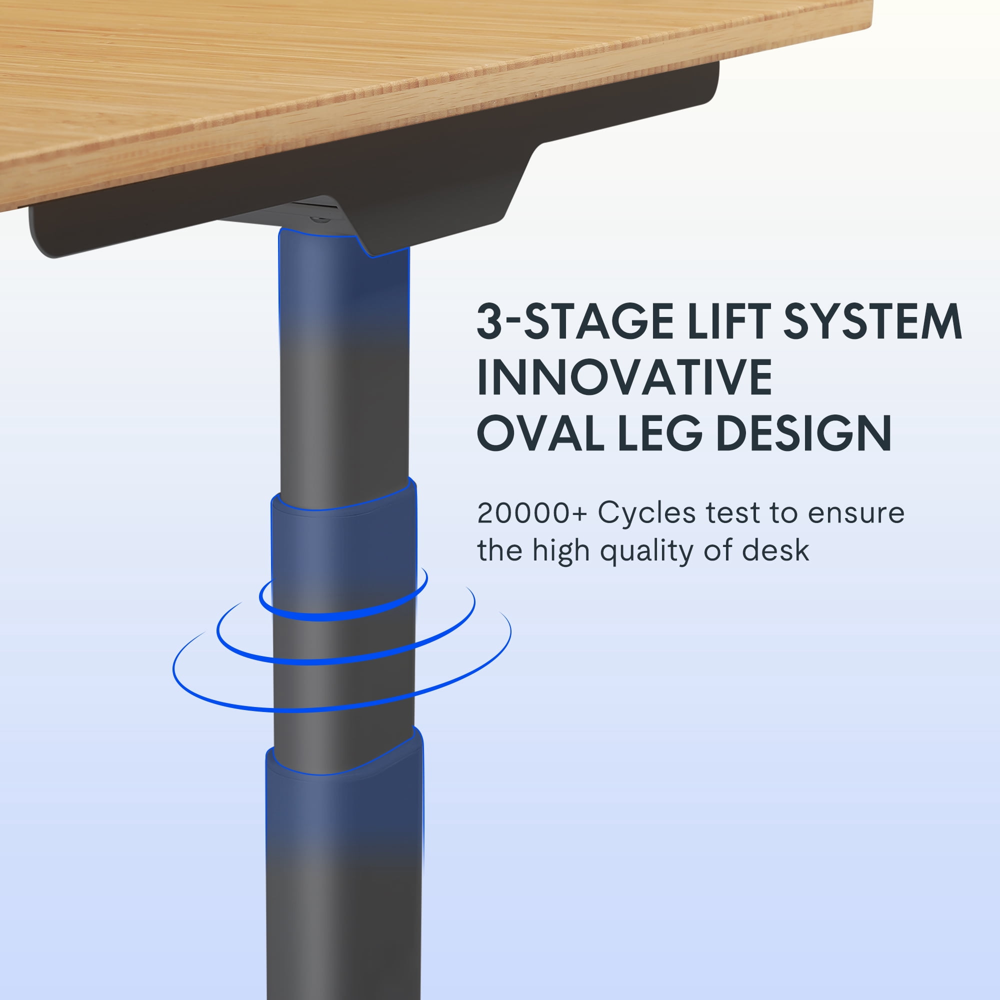 FLEXISPOT 48"x24" Dual Motors 3-Stage Height Adjustable Standing Desk Ergonomic Home Office Sit Stand Desk with USB Port, Bamboo Rectangle Desktop Black Oval Frame