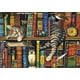 thumbnail image 1 of Rompecabezas Buffalo Games, Charles Wysocki, Frederick the L, 1 of 6