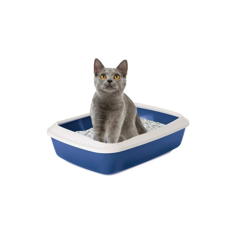 Diatomaceous Earth In Litter Box