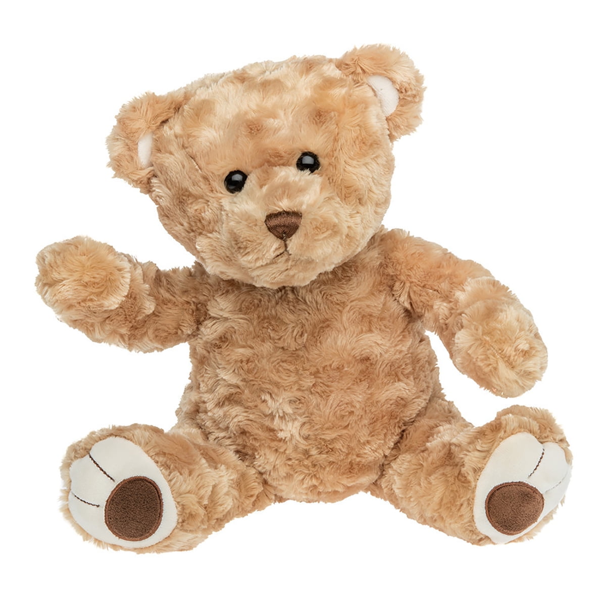 Ready To Love In A Few Easy Steps T Record Your Own Plush 16 inch Brown Bear 